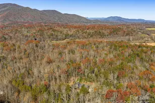 2514 Oakdale Rd, Old Fort, NC 28762 - Photo 46