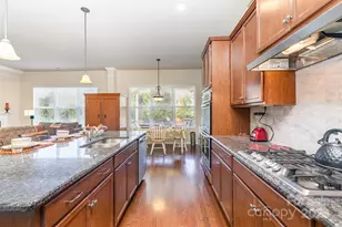 10585 Sweethaven Ln, Harrisburg, NC 28075 - Photo 20