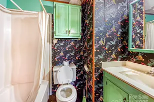 435 Moose Club Rd, Statesville, NC 28677 - Photo 30