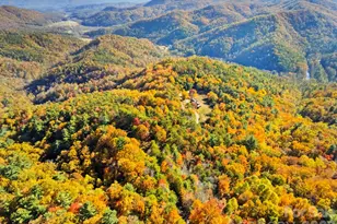 675 Cabin Ridge Rd, Ferguson, NC 28624 - Photo 4