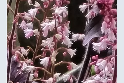 3333 Roberta Road, Concord, NC 28027 - Photo 44