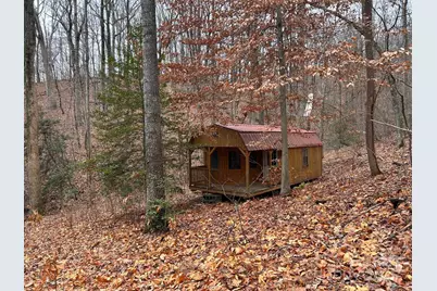 629 Vineyard Road, Tryon, NC 28782 - Photo 8