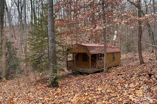 629 Vineyard Rd, Tryon, NC 28782 - Photo 8