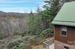 437 Deer Crossing Ln, Lenoir, NC 28645 - Photo 4