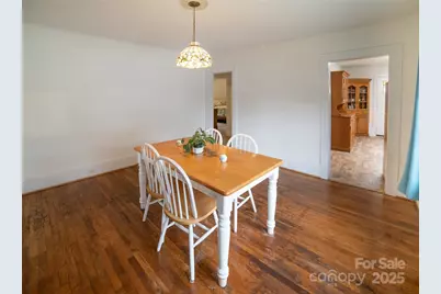 175 Blue Ridge Street, Marion, NC 28752 - Photo 8