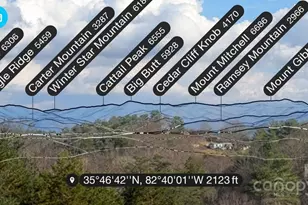 55 & 119 Webb Dr, Marshall, NC 28753 - Photo 14