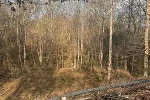 2503 Messer St, Valdese, NC 28690 - Photo 24