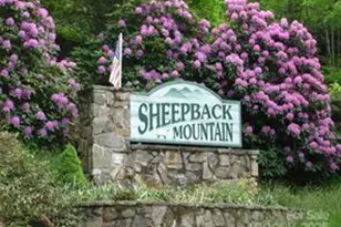 860 Pless Underwood Rd, Maggie Valley, NC 28751 - Photo 32