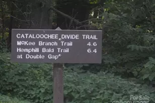 860 Pless Underwood Rd, Maggie Valley, NC 28751 - Photo 42