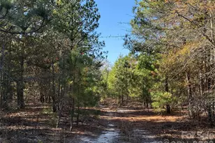 164 Haines Rd, Jackson Springs, NC 27281 - Photo 4