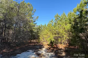 164 Haines Rd, Jackson Springs, NC 27281 - Photo 18