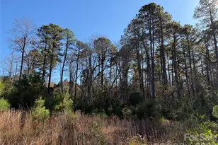 164 Haines Rd, Jackson Springs, NC 27281 - Photo 22