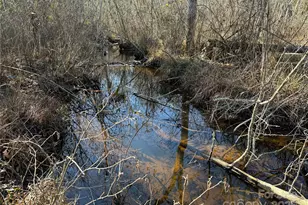 164 Haines Rd, Jackson Springs, NC 27281 - Photo 16