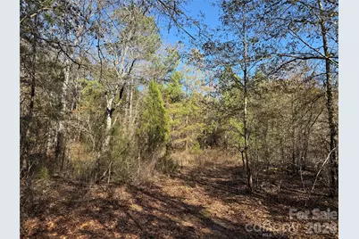 164 Haines Road, Jackson Springs, NC 27281 - Photo 20