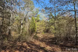 164 Haines Rd, Jackson Springs, NC 27281 - Photo 20