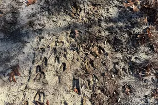 164 Haines Rd, Jackson Springs, NC 27281 - Photo 8