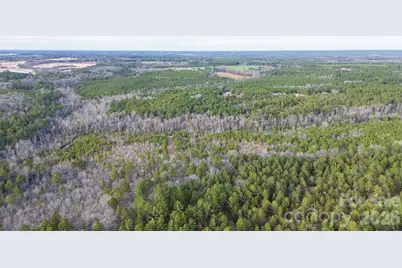 164 Haines Road, Jackson Springs, NC 27281 - Photo 26