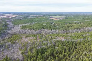 164 Haines Rd, Jackson Springs, NC 27281 - Photo 26