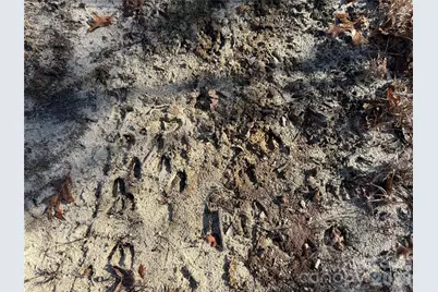 164 Haines Road, Jackson Springs, NC 27281 - Photo 10