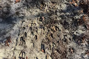 164 Haines Rd, Jackson Springs, NC 27281 - Photo 10