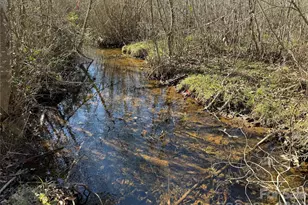 164 Haines Rd, Jackson Springs, NC 27281 - Photo 12