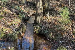 164 Haines Rd, Jackson Springs, NC 27281 - Photo 22