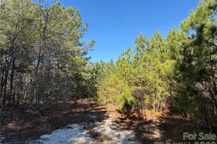 164 Haines Rd, Jackson Springs, NC 27281 - Photo 24