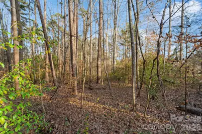 0000 Sandy Ford Road, Mount Holly, NC 28120 - Photo 10