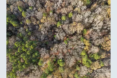 0000 Sandy Ford Road, Mount Holly, NC 28120 - Photo 6