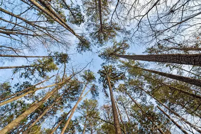 0000 Sandy Ford Road, Mount Holly, NC 28120 - Photo 12