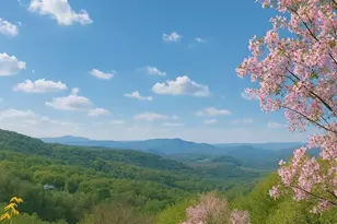 114 Spruce Hollow Rd, Beech Mountain, NC 28604 - Photo 42