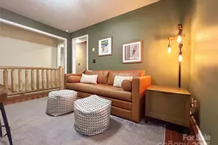 114 Spruce Hollow Rd, Beech Mountain, NC 28604 - Photo 24