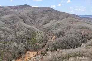 2726 Lower Flat Creek Rd, Black Mountain, NC 28711 - Photo 1