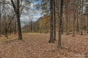 1609 Walden Pond Ln, Waxhaw, NC 28173 - Photo 40
