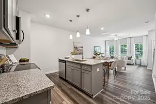 7005 Alpharetta St, Charlotte, NC 28216 - Photo 10