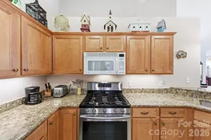 36 Craggy Vis Dr, Swannanoa, NC 28778 - Photo 12