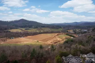 36 Craggy Vis Dr, Swannanoa, NC 28778 - Photo 28