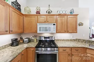 36 Craggy Vis Dr, Swannanoa, NC 28778 - Photo 12