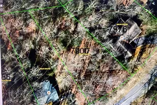 U12 Lo27 Usgewi Ct, Brevard, NC 28712 - Photo 1