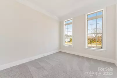 45419 Misty Bluff Drive, Charlotte, NC 28278 - Photo 4