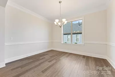 45419 Misty Bluff Drive, Charlotte, NC 28278 - Photo 6