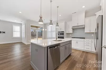 45419 Misty Bluff Drive, Charlotte, NC 28278 - Photo 18