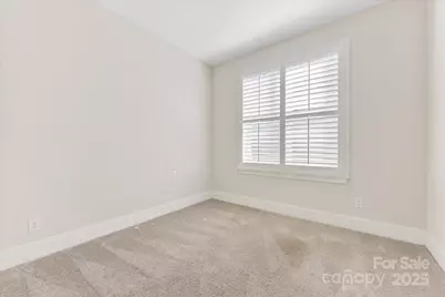 45419 Misty Bluff Drive, Charlotte, NC 28278 - Photo 10