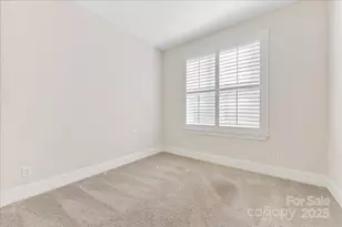 45419 Misty Bluff Dr, Charlotte, NC 28278 - Photo 10