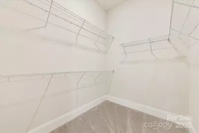 45419 Misty Bluff Drive, Charlotte, NC 28278 - Photo 30