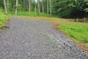 295 Bennett Branch Rd, Green Mountain, NC 28740 - Photo 2