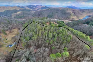 295 Bennett Branch Rd, Green Mountain, NC 28740 - Photo 16