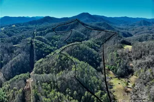 295 Bennett Branch Rd, Green Mountain, NC 28740 - Photo 14