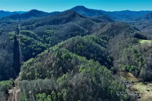 295 Bennett Branch Rd, Green Mountain, NC 28740 - Photo 12