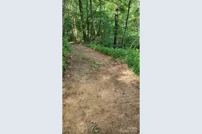 295 Bennett Branch Road, Green Mountain, NC 28740 - Photo 4